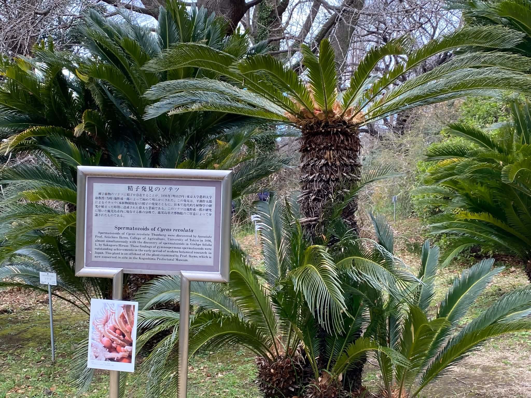2610sotetu.jpg